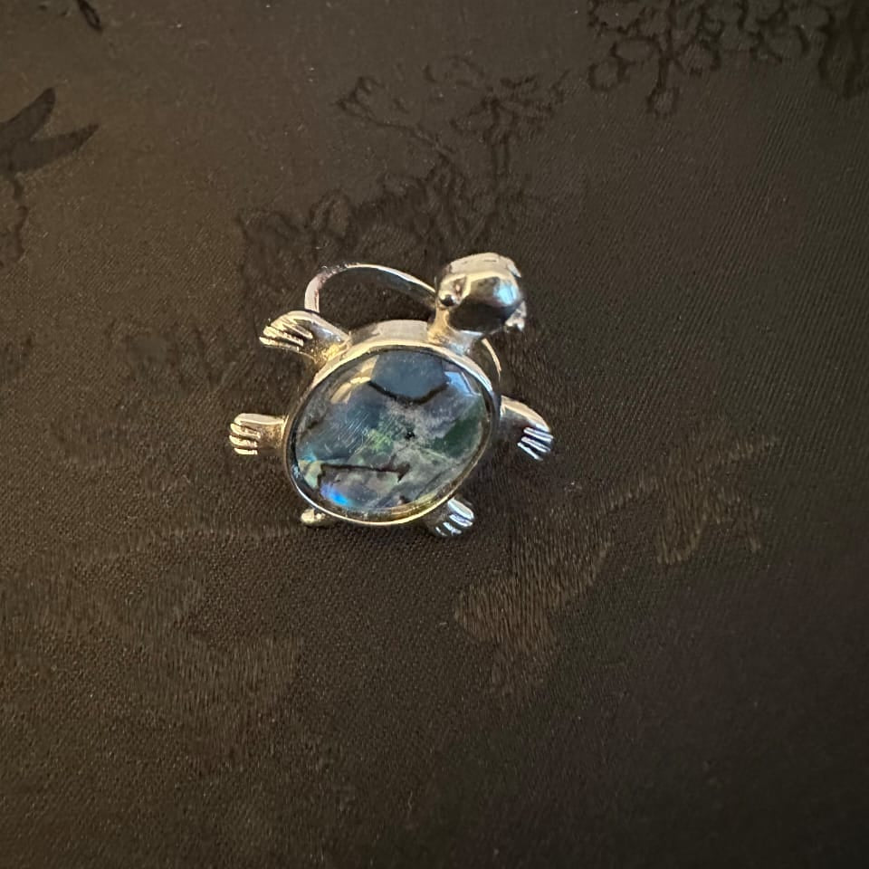 Steeling Silver with Abalone